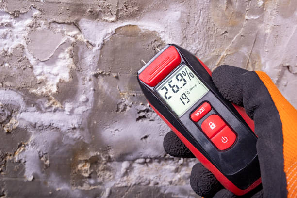 Best Mold Testing and Inspection Services in Newport, RI