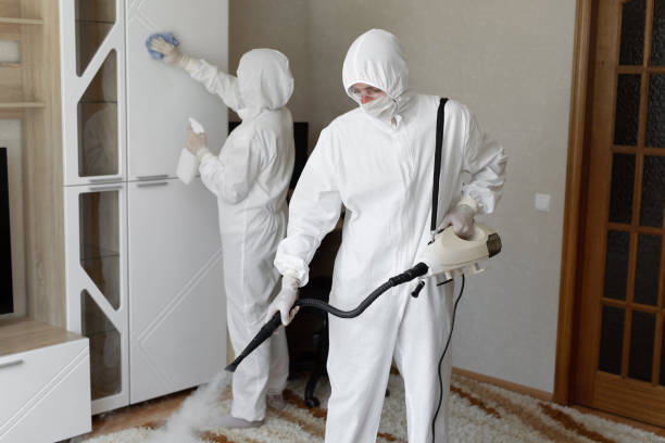 Best Industrial Mold Remediation in Newport, RI