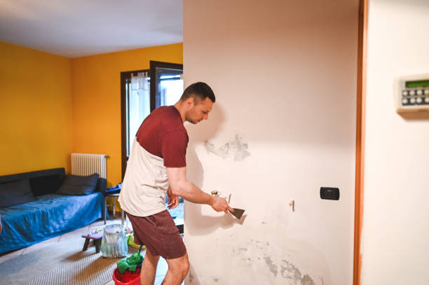 Best Residential Mold Remediation in Newport, RI