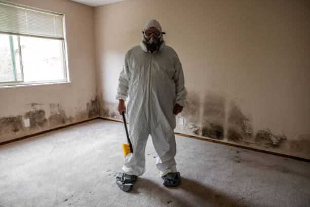 Best HVAC Mold Remediation in Newport, RI